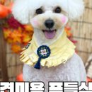 멍풀하우스 네이버블로그