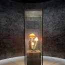 유민미술관 이미지