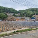 율전초교-2구간 이미지