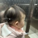 사임당로 115 | 서초 키즈카페 헬로방방 15개월 아기랑 솔직후기