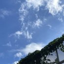 엘티디씨 유한회사 이미지