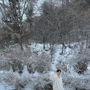 시나몬펜션 이미지