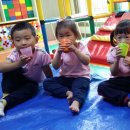 수민농장 이미지