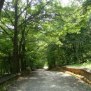 용천사 석등 이미지