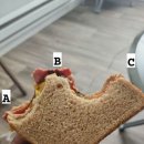 나의 샌드위치 이미지