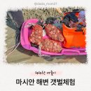41190-01-07-303 | 3월 영종도 마시안해변 조개체험 물떼보는 법, 동죽, 바지락