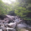 한스바움 이미지