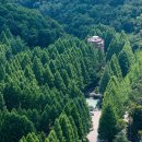 장태산자연휴양림 캠핑장 이미지