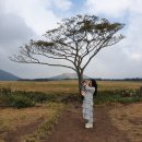 미영목장 이미지