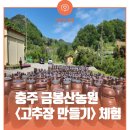대진엿질금영농조합법인 | 충주 수안보 금봉산농원, 고추장만들기 체험