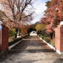 화북초등학교용화분교장 이미지