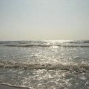 다대포해수욕장 이미지