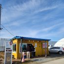 다한농장 | 딸기 덕후의 성공기｜강원도 김규식 딸기농장 후기