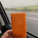 오구피자논산점 | 논산훈련소 남동생 수료식 면회 누나가 더 신남 (연무관광농원, px 후기)