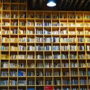 지혜의 숲 이미지