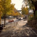 안산초등학교 이미지