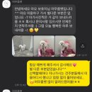 머무름 펫 이미지