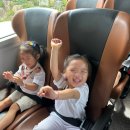 배화어린이집 이미지