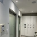 형제안과 이미지