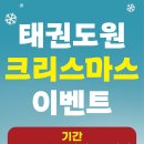 스테이이브
