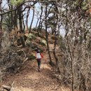 곡성-187 이미지