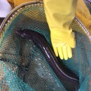 바다그리다 이미지