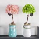 에덴플라워 이미지