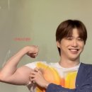 제이제이뮤즈 이미지