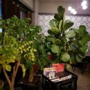 원진메디슨 이미지