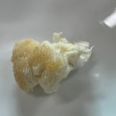 배영숙 산야초밥상 티스토리