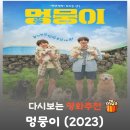 멍뭉이네 | 영화 멍뭉이 결말 해석 리뷰, 반려견 파양하려다 유기견 8마리 달고 온 눈물 나는 현실 결말