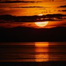 라스트핏 이미지