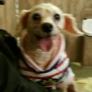 포포앤미루 강동점 이미지