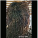 다정동_the다정빌딩옆 | 세종 다정동미용실 새봄헤어 다정점 솔직 후기! 뿌리 염색으로 깔끔하게 변신!