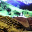 경희마음자리한의원 이미지