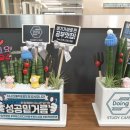두잉스터디카페 이미지