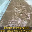 화성소방서 본서-2 | 대학교 보도블럭 교체 공사, 인조화강블럭 시공하기