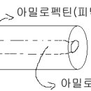 21th 서민지 '녹말' 실험보고서 이미지