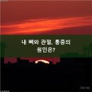 광진구정형외과: 뼈와 관절 통증, 올바른 관리법과 병원 방문 시기