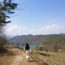 초원목장1 이미지