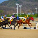 경마공원 이미지