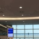 할로나J | 역대급 재밌었던 Winter Festival 보라카이 후기🎈