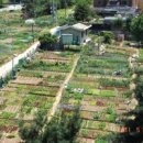 용하농장 이미지