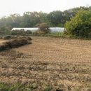 여주일류부동산 공인중개사전광철사무소 이미지