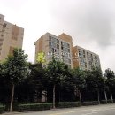 분당로263번길 이미지