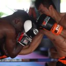 모던복싱 이미지