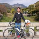 장성시내길 이미지