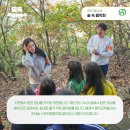 숲속트리하우스 이미지