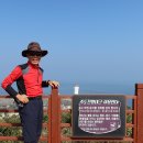 신정숙태양광발전소 이미지