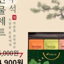 피누스스토어더에코